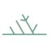 sll_icon Favicon