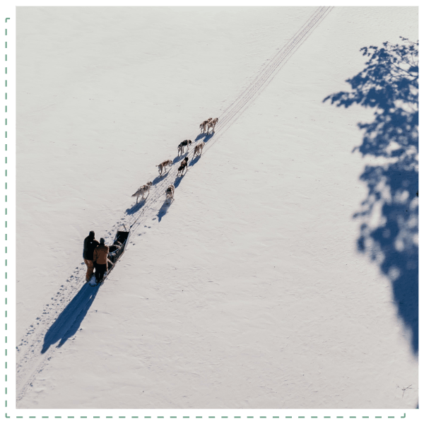 Retreat participants with sled dogs