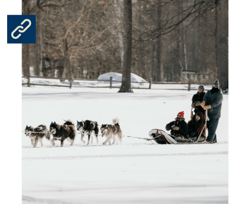 Retreat participants on a sled dog run