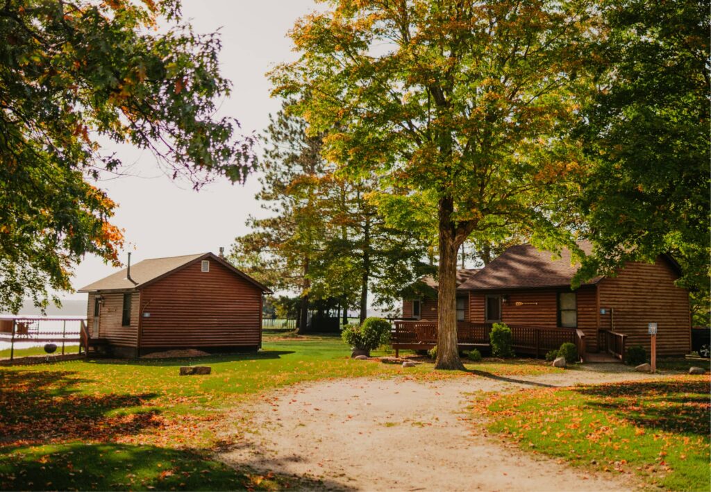 As the Leaves Fall, Let Go of the Leadership Communication Habits That Aren't Working