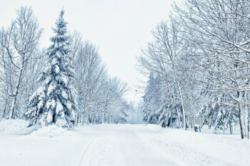 Winter Lodging at the Sugar Lake Lodge